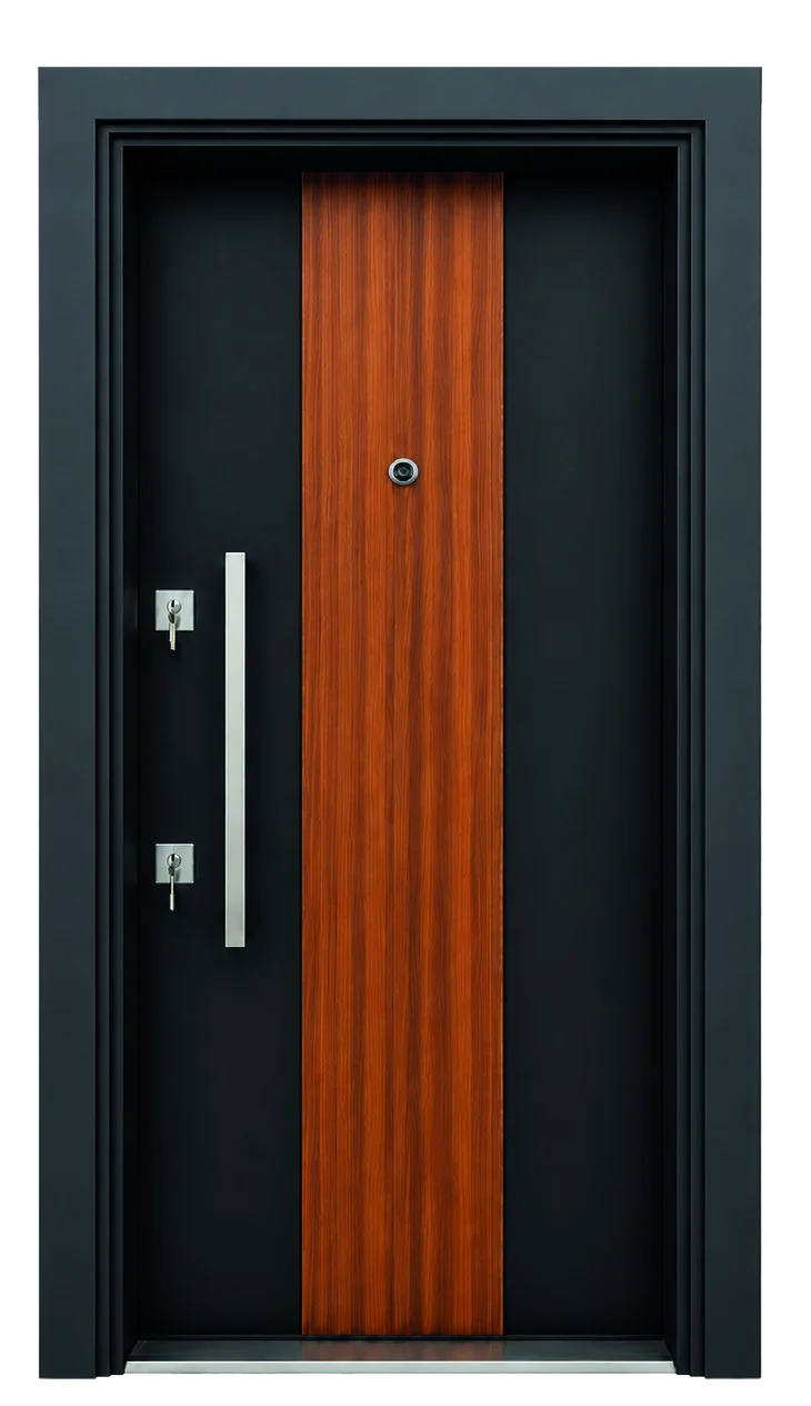Kapı modeli